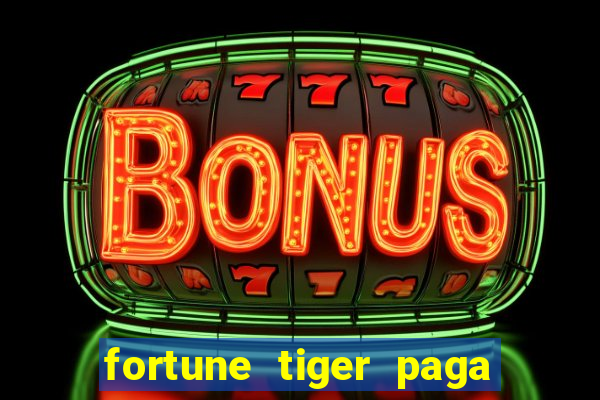 fortune tiger paga de madrugada