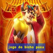 jogo do bicho puxa de dona maria