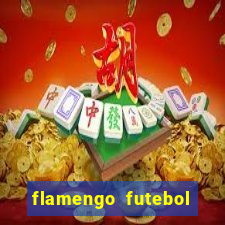 flamengo futebol play hd