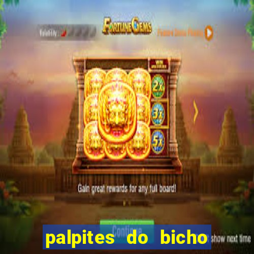 palpites do bicho no celular