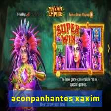 aconpanhantes xaxim